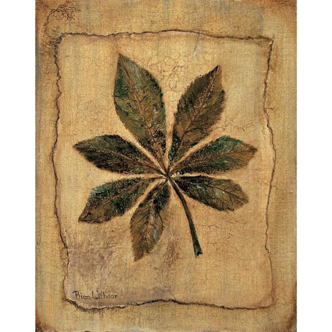 Autumn impression I White Modern Wood Framed Art Print by Withaar, Rian