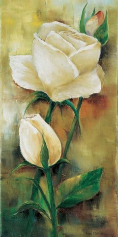 The rose I Black Ornate Wood Framed Art Print with Double Matting by Withaar, Rian