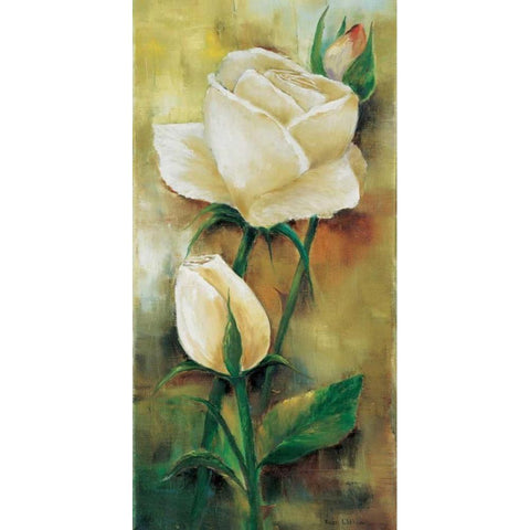 The rose I Black Modern Wood Framed Art Print with Double Matting by Withaar, Rian