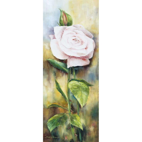The rose II White Modern Wood Framed Art Print by Withaar, Rian