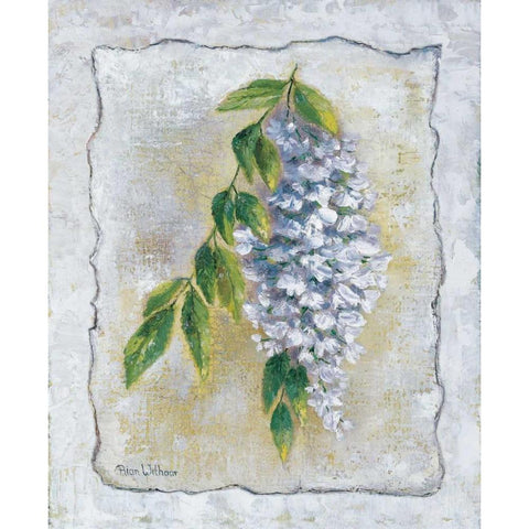 White Laburnum Black Modern Wood Framed Art Print with Double Matting by Withaar, Rian