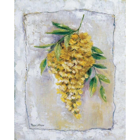 Yellow Laburnum Gold Ornate Wood Framed Art Print with Double Matting by Withaar, Rian