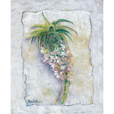 Pineapple bloom White Modern Wood Framed Art Print by Withaar, Rian