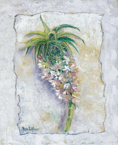 Pineapple bloom Black Ornate Wood Framed Art Print with Double Matting by Withaar, Rian