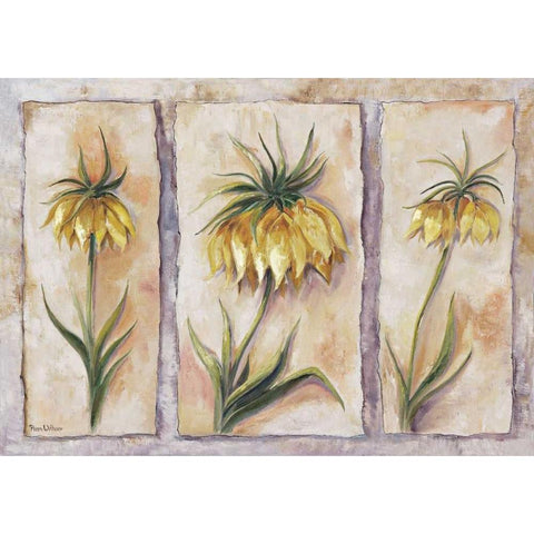 Fritillaria Imperialis White Modern Wood Framed Art Print by Withaar, Rian