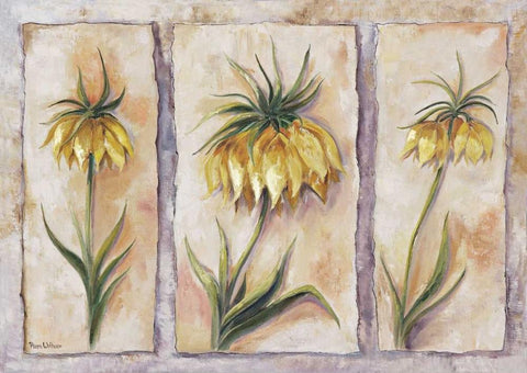 Fritillaria Imperialis White Modern Wood Framed Art Print with Double Matting by Withaar, Rian