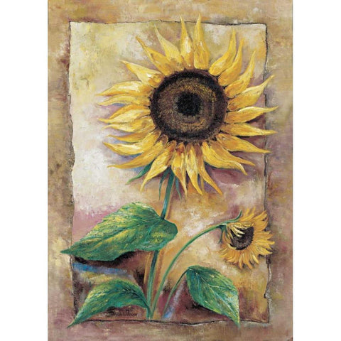 Beautiful sunflower White Modern Wood Framed Art Print by Withaar, Rian