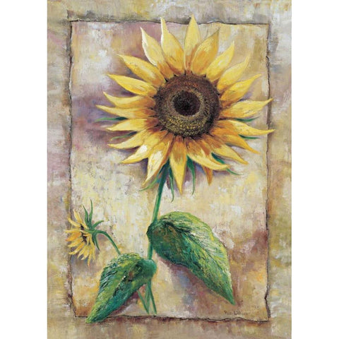 Magnificent sunflower Black Modern Wood Framed Art Print with Double Matting by Withaar, Rian