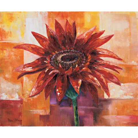 The eye of the flower Black Modern Wood Framed Art Print with Double Matting by Withaar, Rian