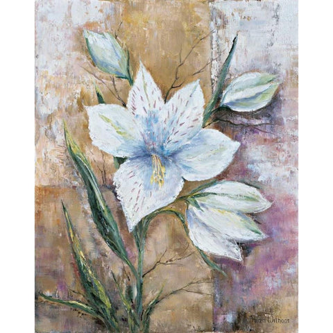 Its a gift White Modern Wood Framed Art Print by Withaar, Rian