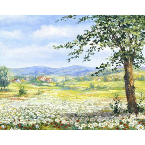 Marguerites field White Modern Wood Framed Art Print by Withaar, Rian