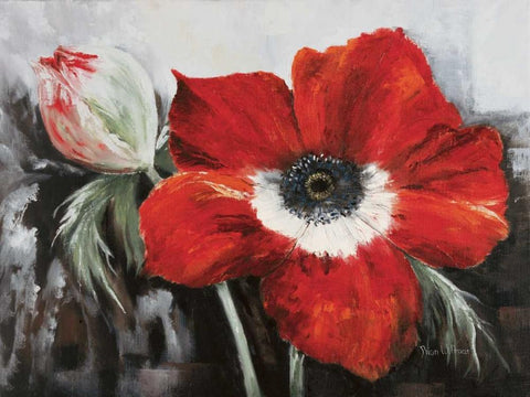 Poppy in full bloom Black Ornate Wood Framed Art Print with Double Matting by Withaar, Rian