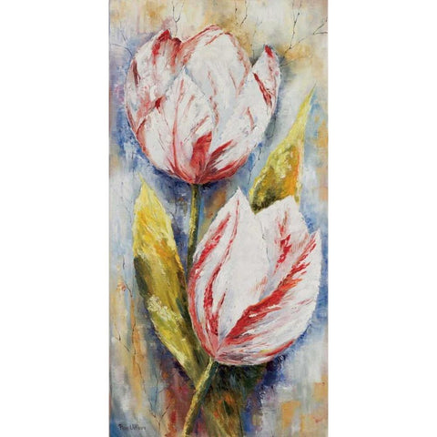 White tulips Black Modern Wood Framed Art Print with Double Matting by Withaar, Rian