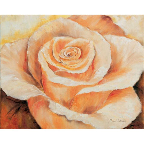 Rose in detail White Modern Wood Framed Art Print by Withaar, Rian