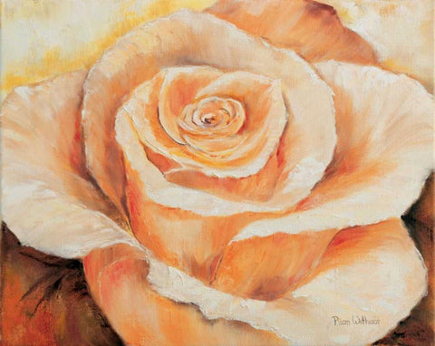 Rose in detail White Modern Wood Framed Art Print with Double Matting by Withaar, Rian