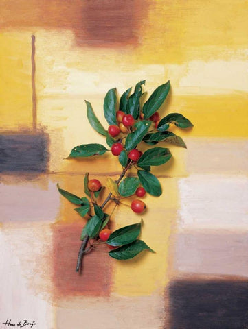 Timeless colours I Black Ornate Wood Framed Art Print with Double Matting by de Bruijn, Hans