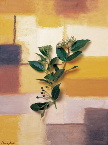 Timeless colours II White Modern Wood Framed Art Print with Double Matting by de Bruijn, Hans