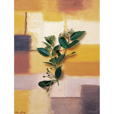 Timeless colours II White Modern Wood Framed Art Print by de Bruijn, Hans