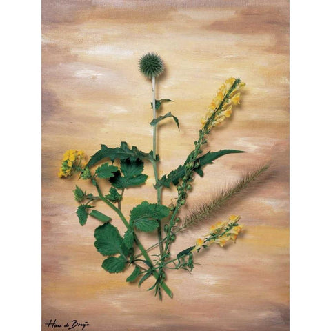 Yellow wild flowers Black Modern Wood Framed Art Print with Double Matting by de Bruijn, Hans