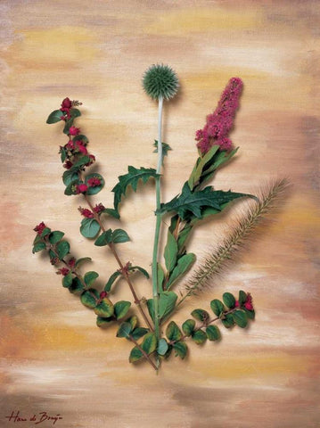 Pink wild flowers White Modern Wood Framed Art Print with Double Matting by de Bruijn, Hans