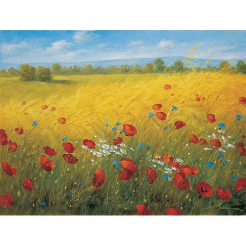 Sparkling field I White Modern Wood Framed Art Print by Scholnhammer, Heinz