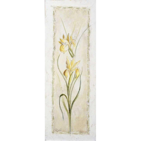 Garden delight-iris White Modern Wood Framed Art Print by Bonet, Julia