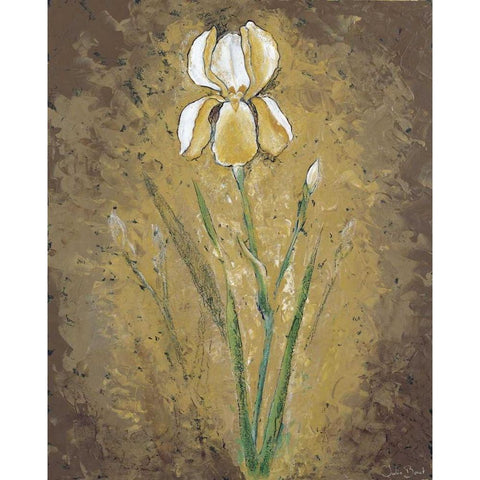 Dark side of an Amaryllis White Modern Wood Framed Art Print by Bonet, Julia