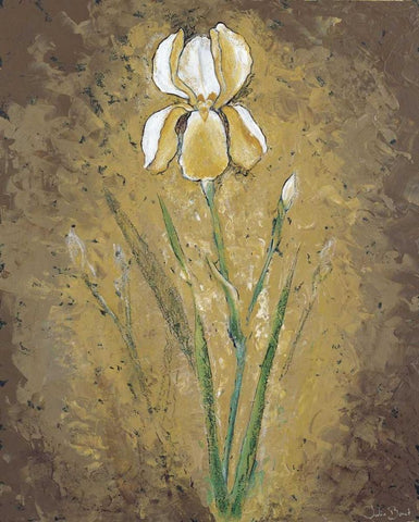 Dark side of an Amaryllis Black Ornate Wood Framed Art Print with Double Matting by Bonet, Julia