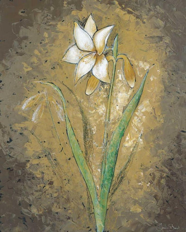 Dark side of a Lily White Modern Wood Framed Art Print with Double Matting by Bonet, Julia