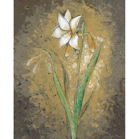 Dark side of a Lily White Modern Wood Framed Art Print by Bonet, Julia