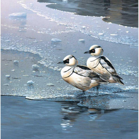 Ducks Gold Ornate Wood Framed Art Print with Double Matting by Weenink, Jan