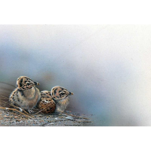 Baby birds Black Modern Wood Framed Art Print with Double Matting by Weenink, Jan
