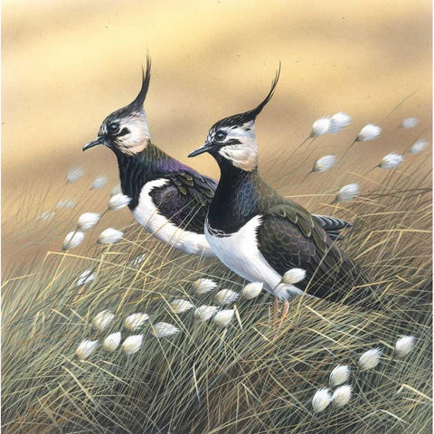 Two lapwings Black Modern Wood Framed Art Print by Weenink, Jan