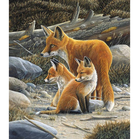 Fox family Gold Ornate Wood Framed Art Print with Double Matting by Weenink, Jan