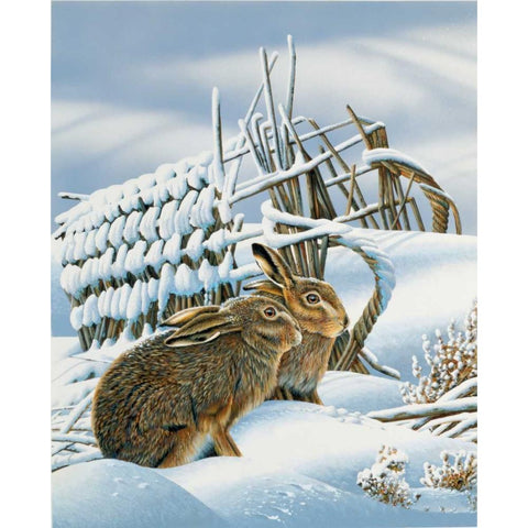 Bunnies in the snow White Modern Wood Framed Art Print by Weenink, Jan