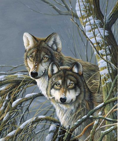 Two wolves Black Ornate Wood Framed Art Print with Double Matting by Weenink, Jan