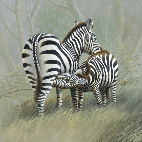 Two zebras White Modern Wood Framed Art Print with Double Matting by Weenink, Jan