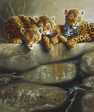 Three little tigers White Modern Wood Framed Art Print with Double Matting by Weenink, Jan