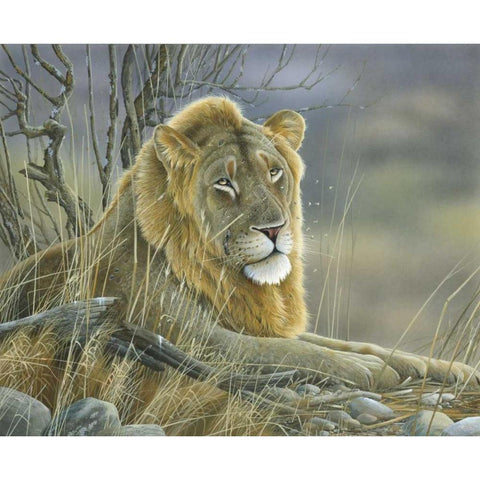 Lion Gold Ornate Wood Framed Art Print with Double Matting by Weenink, Jan