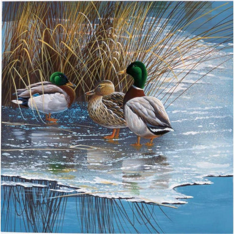 Three ducks on ice Black Modern Wood Framed Art Print by Weenink, Jan
