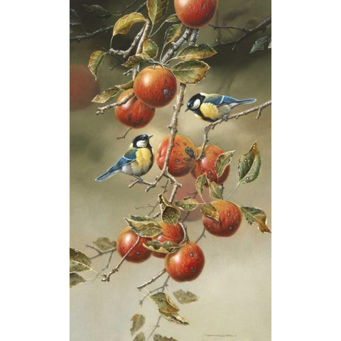 Two birds in appletree Black Modern Wood Framed Art Print with Double Matting by Weenink, Jan