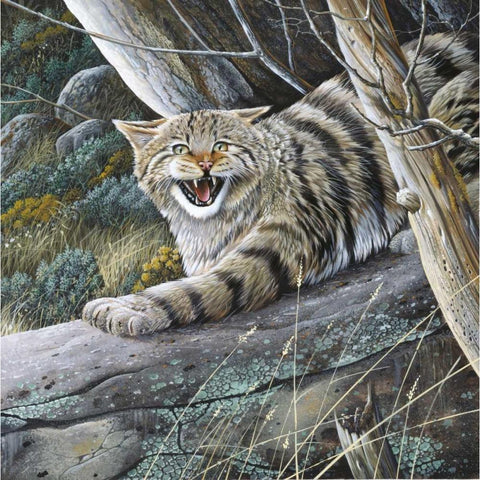 Lynx Gold Ornate Wood Framed Art Print with Double Matting by Weenink, Jan