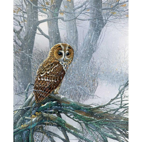Owl in snowy forest Black Modern Wood Framed Art Print by Weenink, Jan
