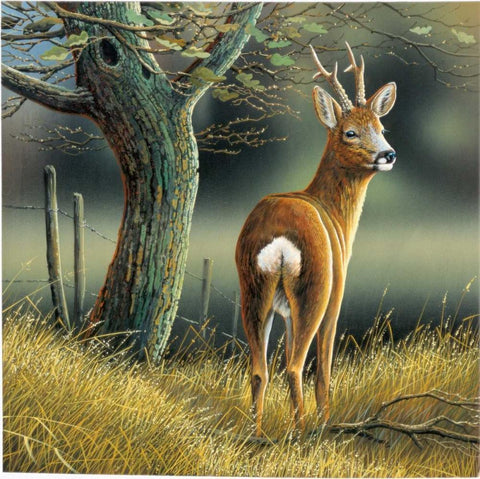 Reindeer White Modern Wood Framed Art Print with Double Matting by Weenink, Jan