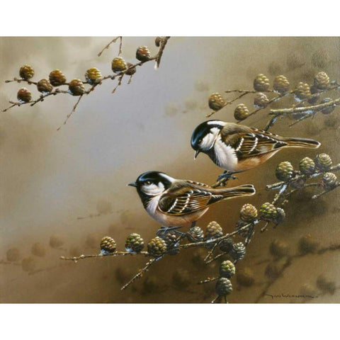 Two birds on branch Black Modern Wood Framed Art Print with Double Matting by Weenink, Jan
