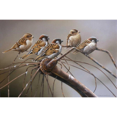 Birds on a broken bicycle Black Modern Wood Framed Art Print with Double Matting by Weenink, Jan