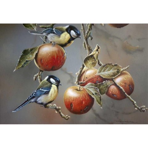 Two birds with apples Black Modern Wood Framed Art Print by Weenink, Jan