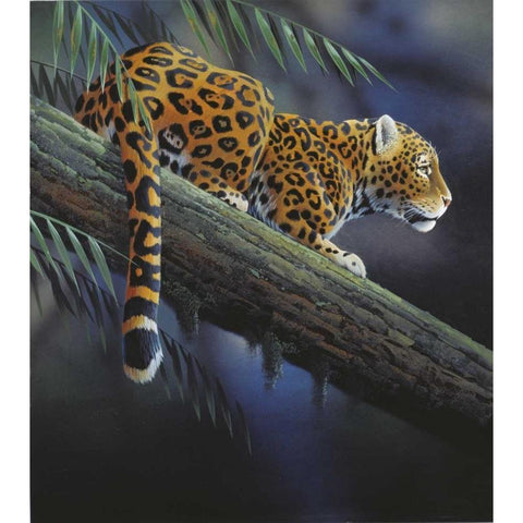 Jaguar in tree White Modern Wood Framed Art Print by Weenink, Jan