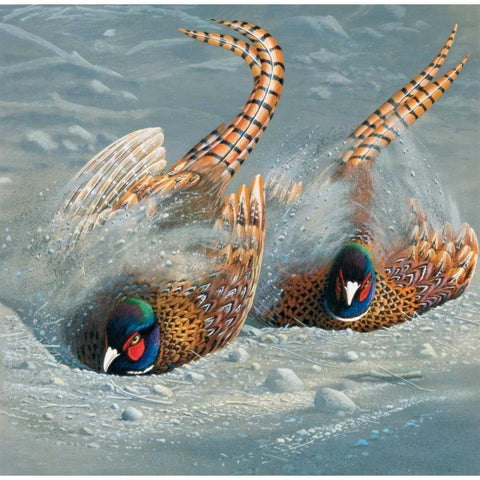 Gold pheasant Gold Ornate Wood Framed Art Print with Double Matting by Weenink, Jan