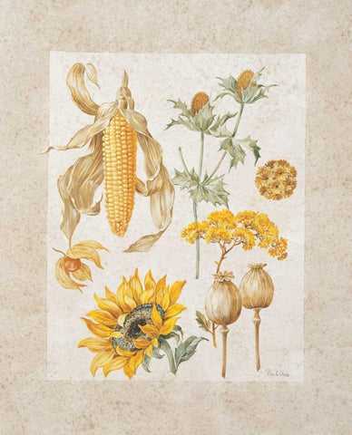 Yellow mix I Black Ornate Wood Framed Art Print with Double Matting by Kumorek, Krysztov